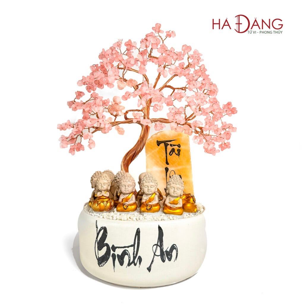 Cây tài lộc bình an hồng 1 WEB