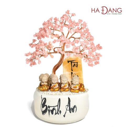 Cây Bình An Tài Lộc Hồng - Ảnh 4