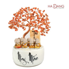 Cây Bình An Tài Lộc Đỏ