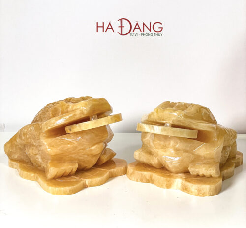 Cóc Thiềm Thừ Ngọc Hoàng Long - Ảnh 3