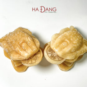 Cóc Thiềm Thừ Ngọc Hoàng Long