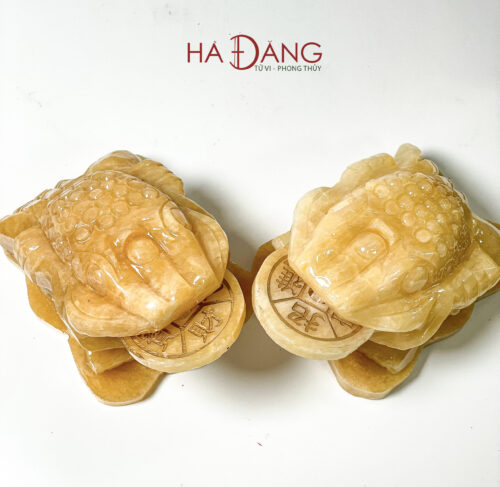 Cóc Thiềm Thừ Ngọc Hoàng Long
