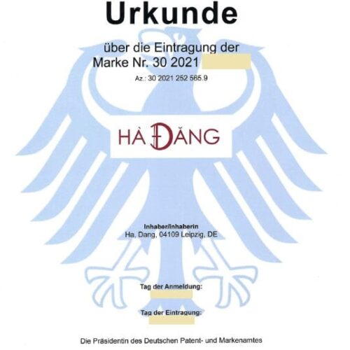 488253671_9846787728701447_8496142204502703410_n